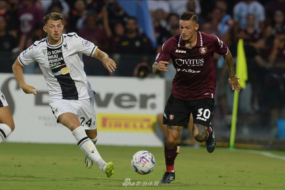 充分展示了 充分展示了